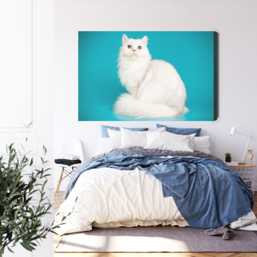 Obraz na płótnie Zwierzęta Biały kot na tle turkusu Premium Canvas - obrazek 3