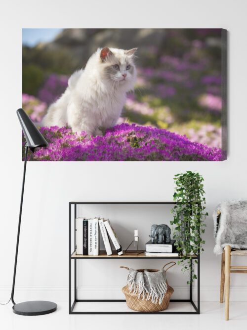 Obraz na płótnie Zwierzęta Biały kot wśród kwiatów Premium Canvas - obrazek 9