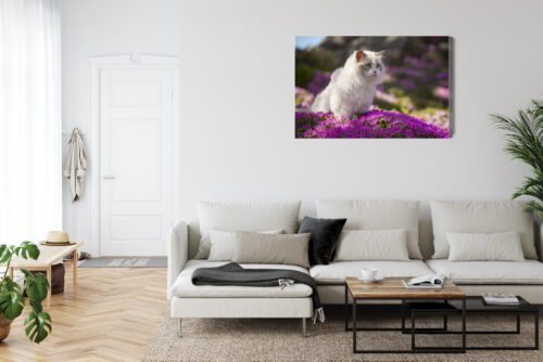 Obraz na płótnie Zwierzęta Biały kot wśród kwiatów Premium Canvas - obrazek 6