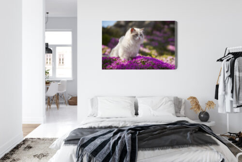 Obraz na płótnie Zwierzęta Biały kot wśród kwiatów Premium Canvas - obrazek 7