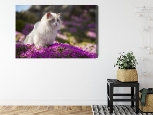 Obraz na płótnie Zwierzęta Biały kot wśród kwiatów Premium Canvas - obrazek 8