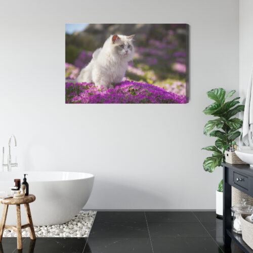 Obraz na płótnie Zwierzęta Biały kot wśród kwiatów Premium Canvas - obrazek 5