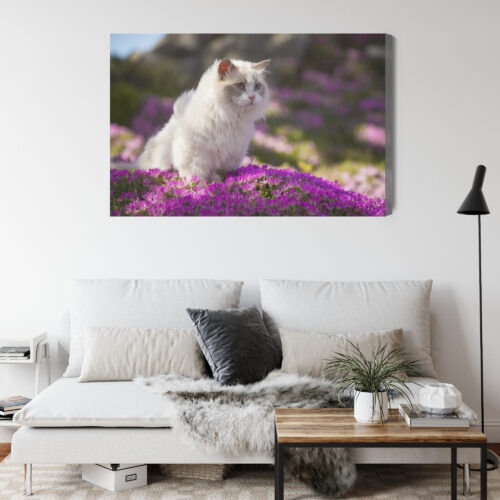 Obraz na płótnie Zwierzęta Biały kot wśród kwiatów Premium Canvas - obrazek 4