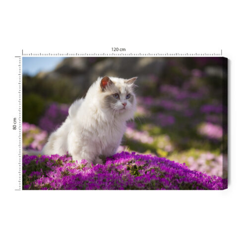 Obraz na płótnie Zwierzęta Biały kot wśród kwiatów Premium Canvas