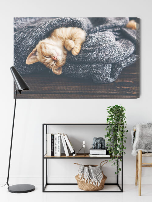 Obraz na płótnie Zwierzęta Śpiący kotek w kocu Premium Canvas - obrazek 9