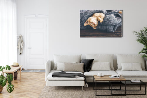 Obraz na płótnie Zwierzęta Śpiący kotek w kocu Premium Canvas - obrazek 6