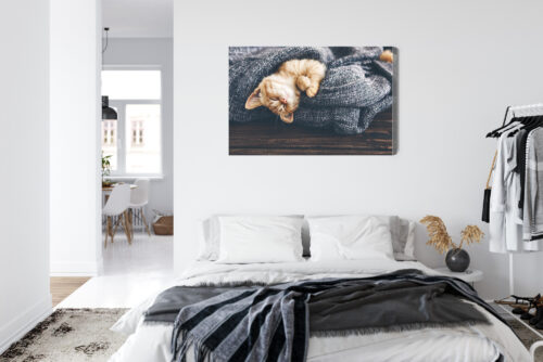 Obraz na płótnie Zwierzęta Śpiący kotek w kocu Premium Canvas - obrazek 7