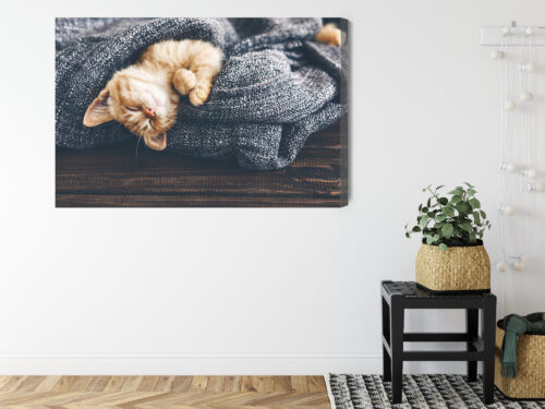 Obraz na płótnie Zwierzęta Śpiący kotek w kocu Premium Canvas - obrazek 8