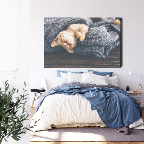 Obraz na płótnie Zwierzęta Śpiący kotek w kocu Premium Canvas - obrazek 3