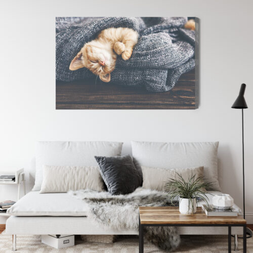 Obraz na płótnie Zwierzęta Śpiący kotek w kocu Premium Canvas - obrazek 4
