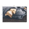Obraz na płótnie Zwierzęta Śpiący kotek w kocu Premium Canvas