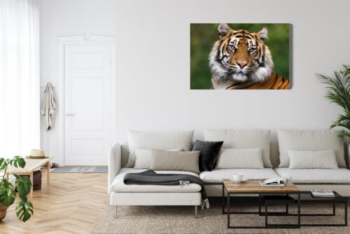 Obraz na płótnie Zwierzęta Portret tygrysa Premium Canvas - obrazek 6