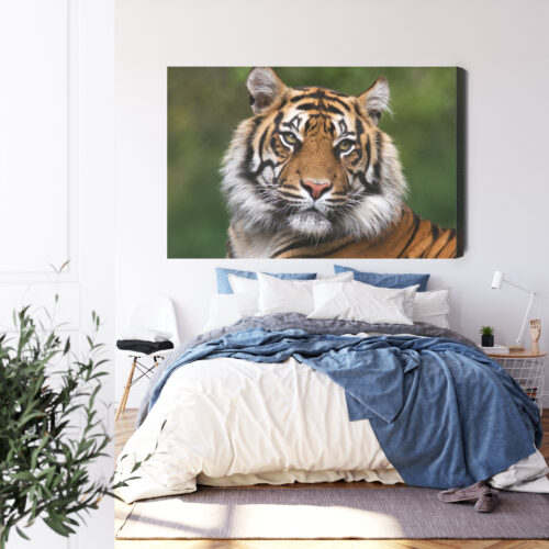 Obraz na płótnie Zwierzęta Portret tygrysa Premium Canvas - obrazek 3