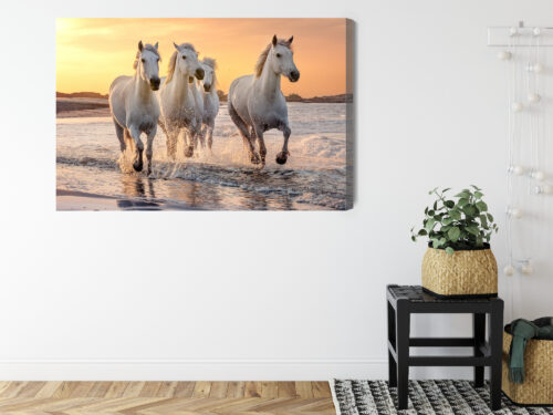Obraz na płótnie Zwierzęta Białe konie w wodzie Premium Canvas - obrazek 8