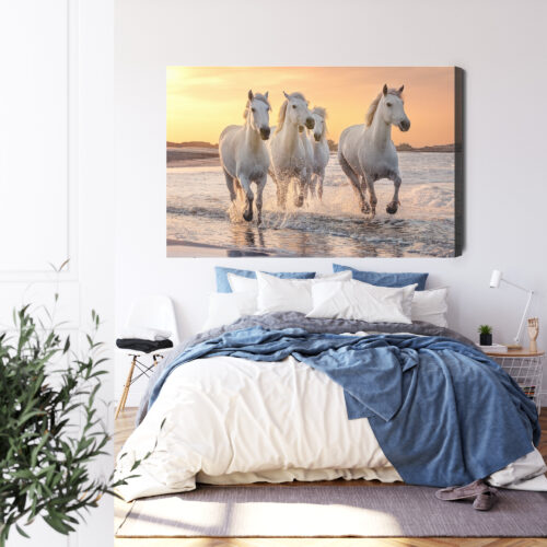 Obraz na płótnie Zwierzęta Białe konie w wodzie Premium Canvas - obrazek 3