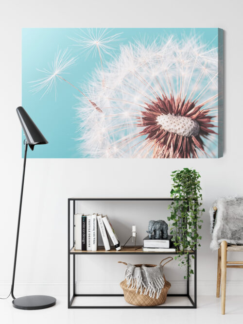 Obraz na płótnie Natura Premium Canvas Dmuchawiec z bliska - obrazek 9