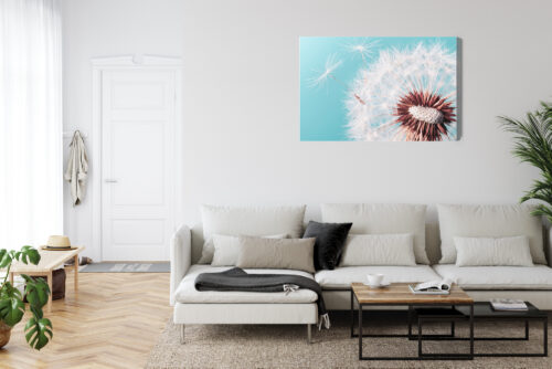 Obraz na płótnie Natura Premium Canvas Dmuchawiec z bliska - obrazek 6