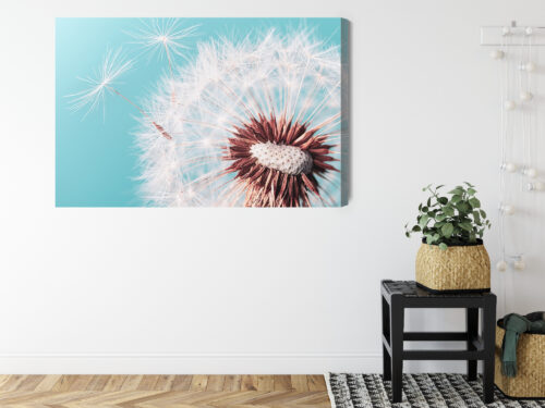 Obraz na płótnie Natura Premium Canvas Dmuchawiec z bliska - obrazek 8
