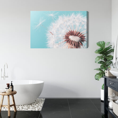 Obraz na płótnie Natura Premium Canvas Dmuchawiec z bliska - obrazek 5