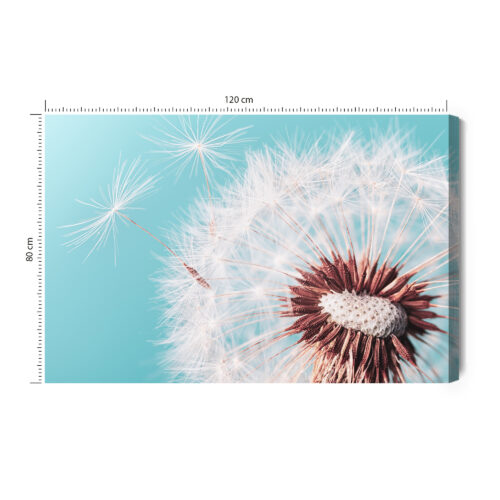 Obraz na płótnie Natura Premium Canvas Dmuchawiec z bliska