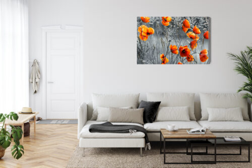 Obraz na płótnie Czerwone maki na tle szarości Kontrast natury  Premium Canvas - obrazek 6