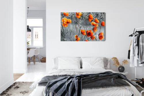 Obraz na płótnie Czerwone maki na tle szarości Kontrast natury  Premium Canvas - obrazek 7