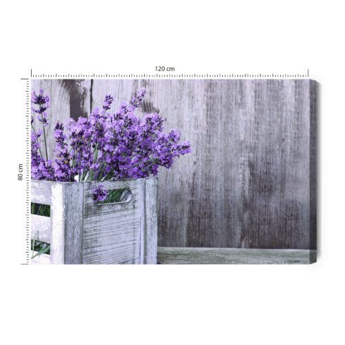 Obraz na płótnie Natura Premium Canvas Lawenda w skrzynce