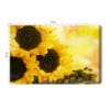 Obraz na płótnie Natura Premium Canvas Słoneczniki i pestki