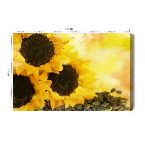 Obraz na płótnie Natura Premium Canvas Słoneczniki i pestki