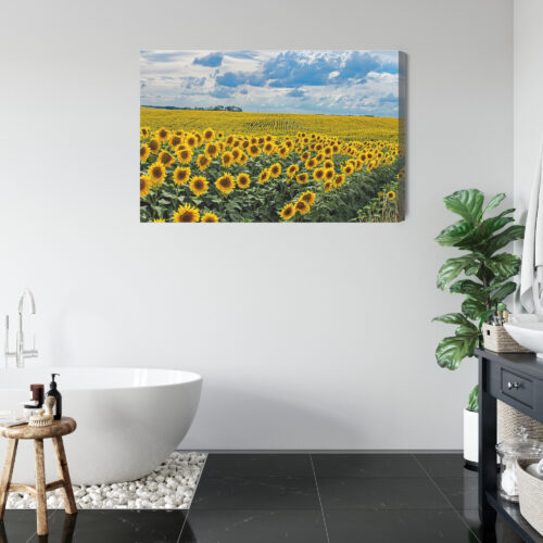 Obraz na płótnie Natura Pole słoneczników Premium Canvas - obrazek 5