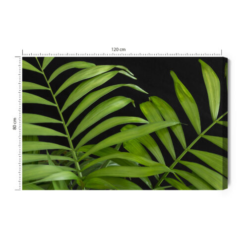 Obraz na płótnie Natura Zielone liście Premium Canvas