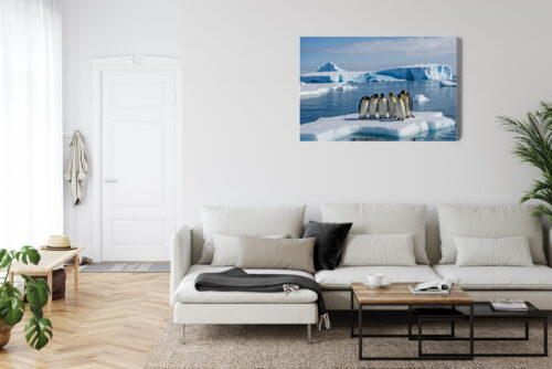 Obraz na płótnie Pingwiny na krze Antarktyda Fotografia  Premium Canvas - obrazek 6