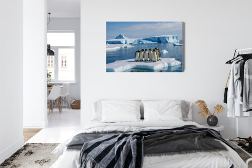 Obraz na płótnie Pingwiny na krze Antarktyda Fotografia  Premium Canvas - obrazek 7