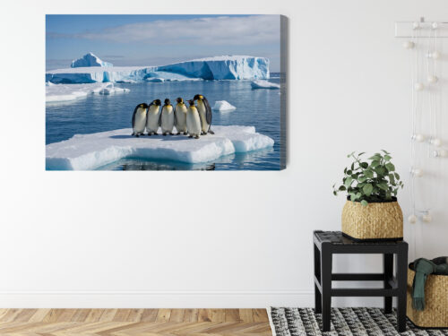 Obraz na płótnie Pingwiny na krze Antarktyda Fotografia  Premium Canvas - obrazek 8
