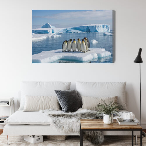 Obraz na płótnie Pingwiny na krze Antarktyda Fotografia  Premium Canvas - obrazek 4