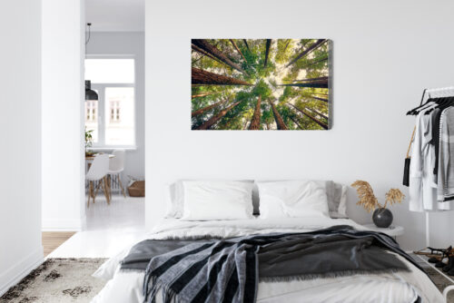 Obraz na płótnie Las Fotografia Korony  Premium Canvas - obrazek 7