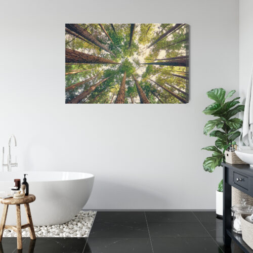 Obraz na płótnie Las Fotografia Korony  Premium Canvas - obrazek 5
