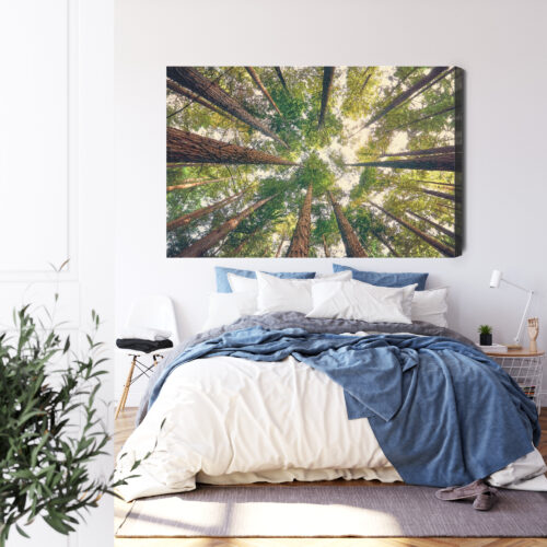 Obraz na płótnie Las Fotografia Korony  Premium Canvas - obrazek 3