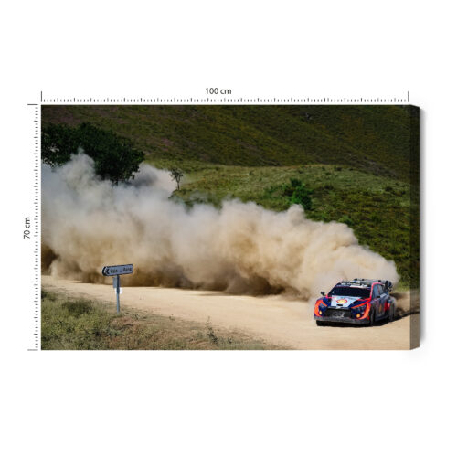 Obraz na płótnie Motoryzacja Fotografia Rajd  Premium Canvas