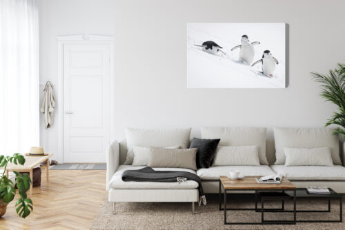 Obraz na płótnie Pingwiny w ruchu sceneria śnieżna Premium Canvas - obrazek 6