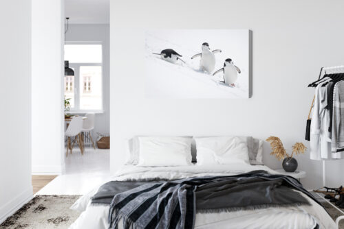 Obraz na płótnie Pingwiny w ruchu sceneria śnieżna Premium Canvas - obrazek 7