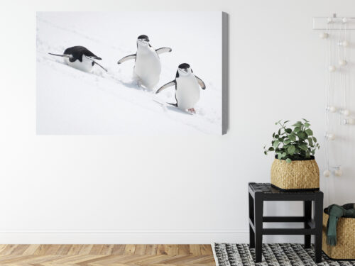 Obraz na płótnie Pingwiny w ruchu sceneria śnieżna Premium Canvas - obrazek 8