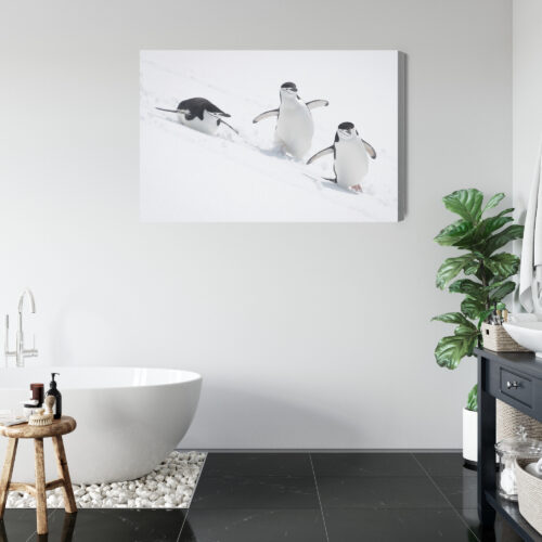 Obraz na płótnie Pingwiny w ruchu sceneria śnieżna Premium Canvas - obrazek 5