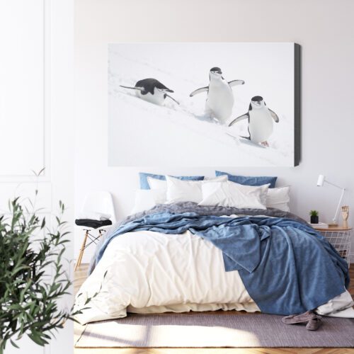 Obraz na płótnie Pingwiny w ruchu sceneria śnieżna Premium Canvas - obrazek 3