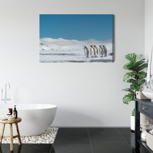 Obraz na płótnie Pingwiny na śniegu arktyczny krajobraz  Premium Canvas - obrazek 5
