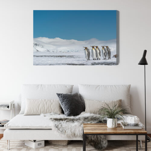 Obraz na płótnie Pingwiny na śniegu arktyczny krajobraz  Premium Canvas - obrazek 4