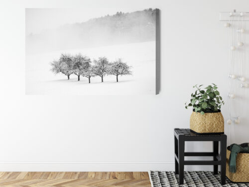 Obraz na płótnie Zimowy krajobraz Minimalistyczny czarno-biały  Premium Canvas - obrazek 8