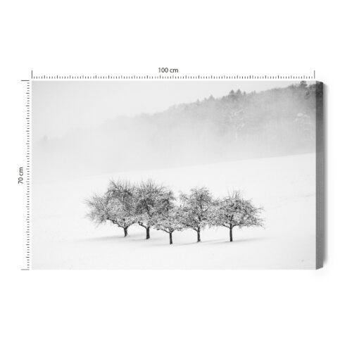 Obraz na płótnie Zimowy krajobraz Minimalistyczny czarno-biały  Premium Canvas