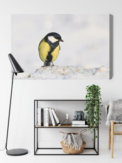 Obraz na płótnie Sikorka na śniegu Fotografia przyrodnicza  Premium Canvas - obrazek 9