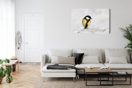 Obraz na płótnie Sikorka na śniegu Fotografia przyrodnicza  Premium Canvas - obrazek 6